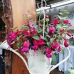 Апартаменты Rosi Наумбург