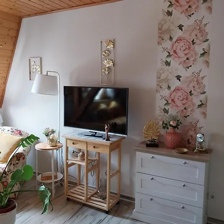 Apartment Rosi