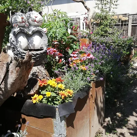 Apartment Rosi Naumburg (Saale)