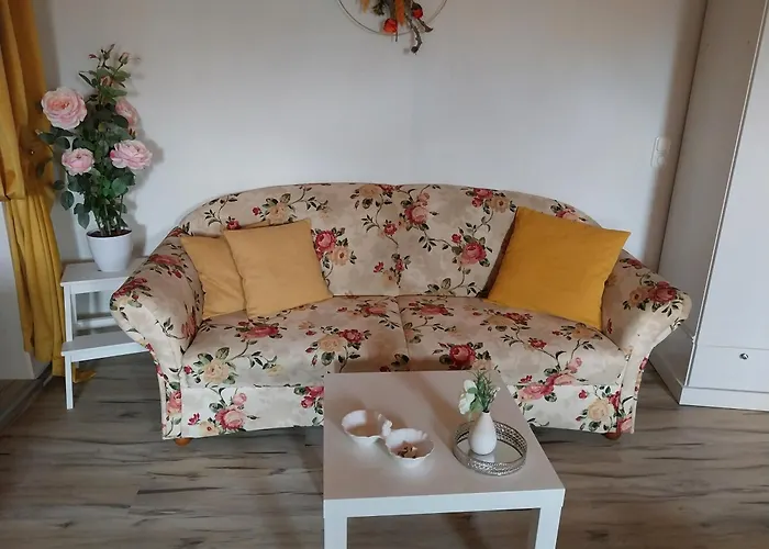 Rosi * Наумбург