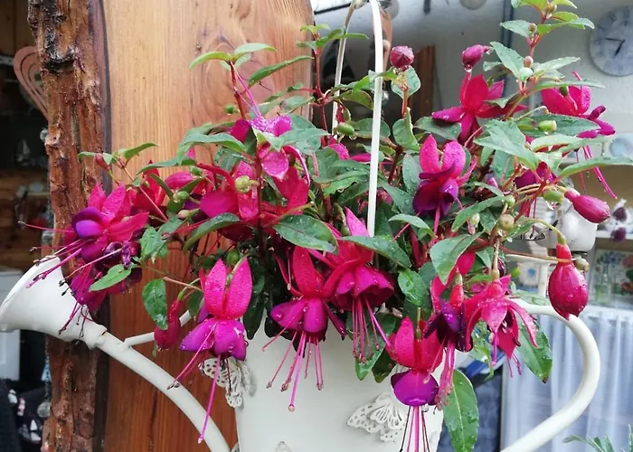 Апартаменты Rosi Наумбург